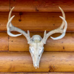 2025152期开奖结果公布,幸运号码震撼揭晓 1daws0yy