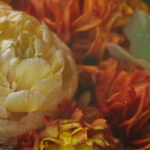 456123期最新开奖记录与结果查询完整版 1f602cdbzc