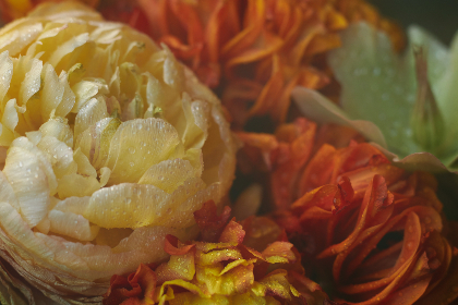 456123期最新开奖记录与结果查询完整版 456123期最新开奖记录与结果查询完整版