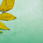 2025154期开奖结果查询与中奖号码公布 3nb8v0pv