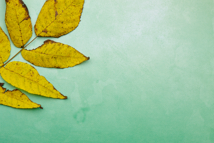 2025154期开奖结果查询与中奖号码公布 2025154期开奖结果查询与中奖号码公布