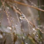 202516期最新开奖结果查询与详细分析 6ml4bw1m3n