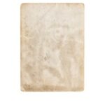 2025190期最新开奖结果查询与中奖号码公布 9m4t728gc