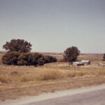 2025176期开奖号码正式公布结果查询 djijtrphc1