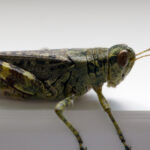 454开奖号前后走势深度解析与预测 e09kf6wh