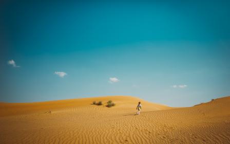 2025183期彩票开奖结果最新公布 2025183期彩票开奖结果最新公布