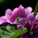 2025158期开奖结果最新公布,快来看看你中奖了吗? tv7ng6jh36