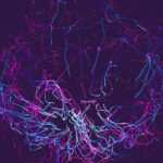 2025172期开奖结果最新公布,快来看看你中奖了吗? ygi2yumv